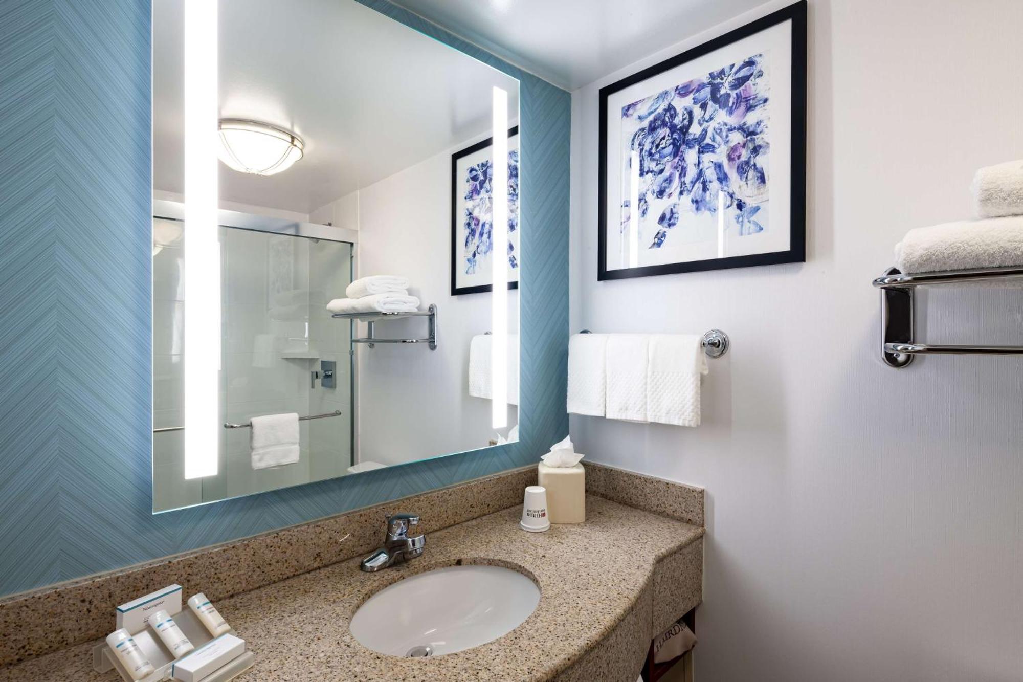 Hilton Garden Inn Chicago O'Hare Airport Des Plaines Exteriér fotografie